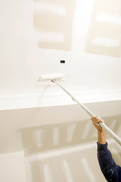 Biohazard Mold Removal in Suncrest, WA